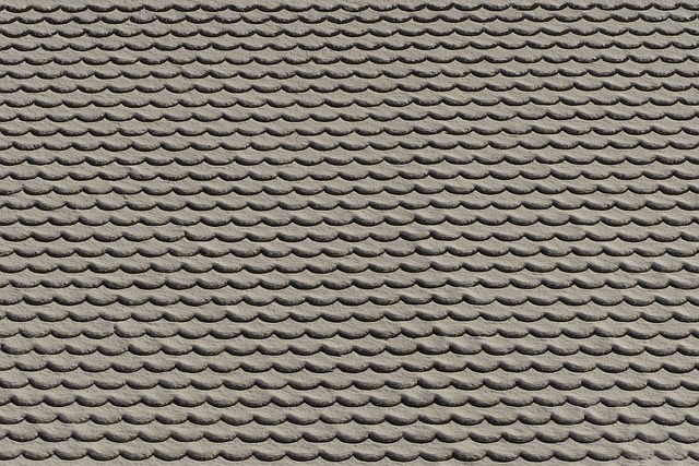roof, roofer, 