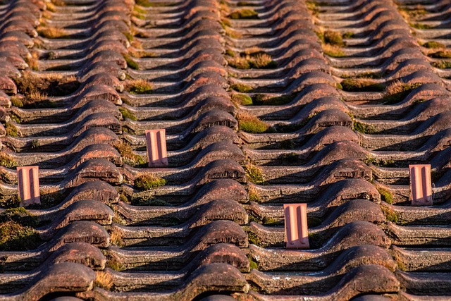 roof, roofer, 