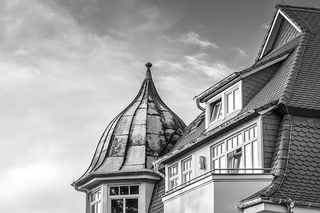 roof, roofer, 