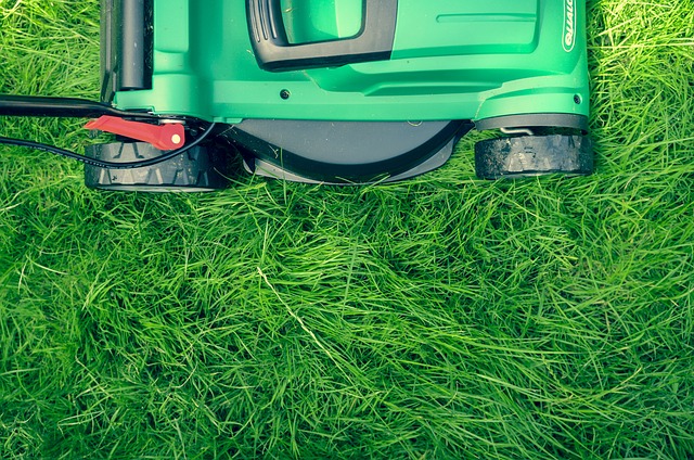 lawn-care-640x480-77326942.jpeg